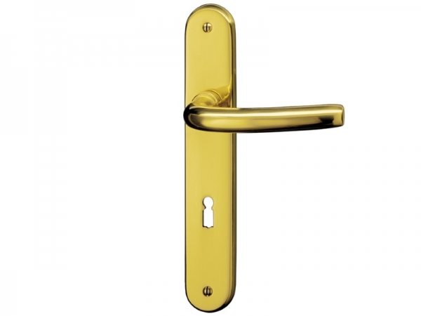 Дверная ручка на планке P.Bisschop Оптима 1830/825 полированная латунь